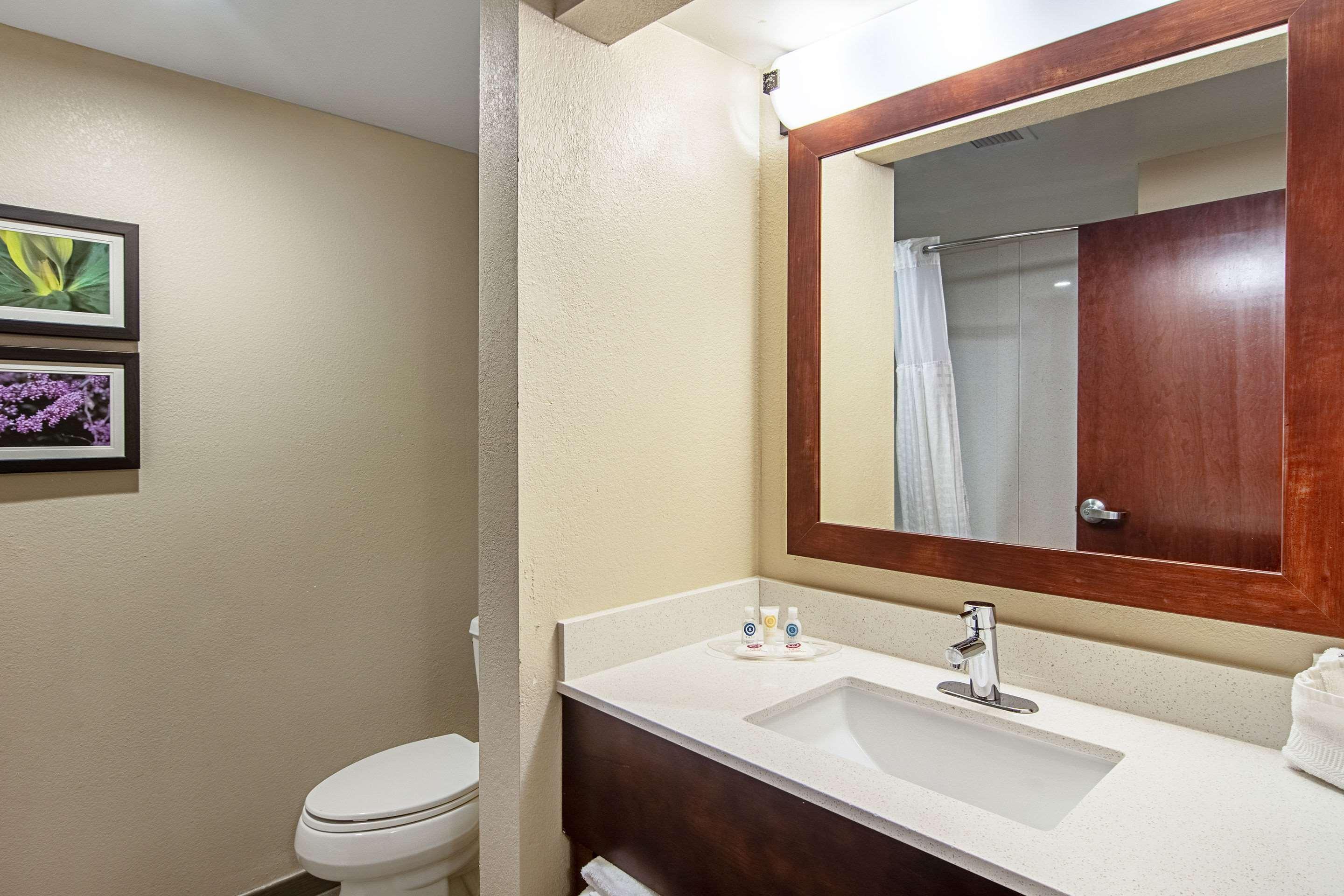 Comfort Suites Knoxville Airport Alcoa Ngoại thất bức ảnh
